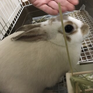 ご応募ありがとうございました