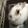 ご応募ありがとうございました サムネイル2