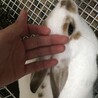 ご応募ありがとうございました サムネイル3