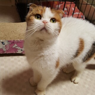 甘えん坊★和登ちゃん