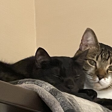 2匹は仲良し