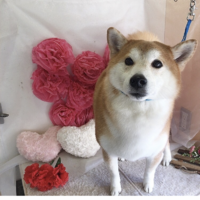 わか