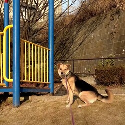 「倉敷っ子、王子君の幸せ報告」サムネイル3