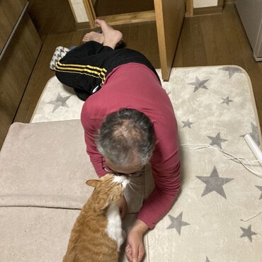 の写真