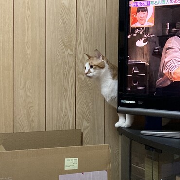 の写真