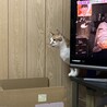 の写真