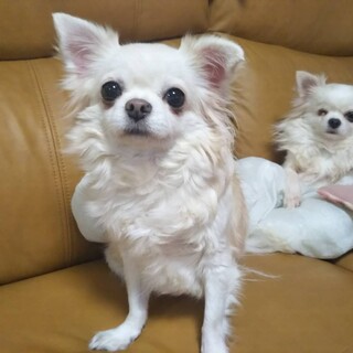 沢山のご応募頂きありがとうございます。