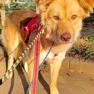 怖いことも日々克服中、元気な男の子゛ジュエル