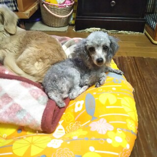 沢山のご応募頂きありがとうございます。