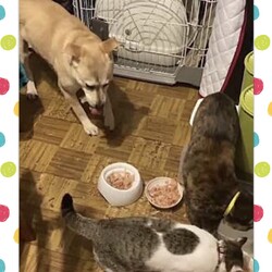 「幸せになったこの子はだあれ？」サムネイル2