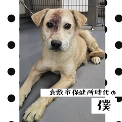 「幸せになったこの子はだあれ？」サムネイル3