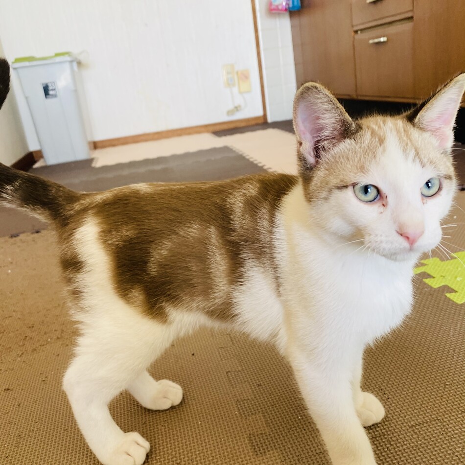 ぼんのカバー写真