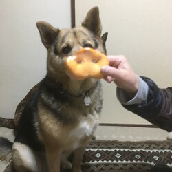 8歳になりました！