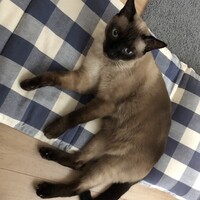 マルコ