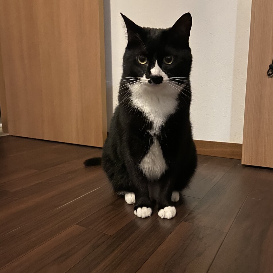 もずくのカバー写真
