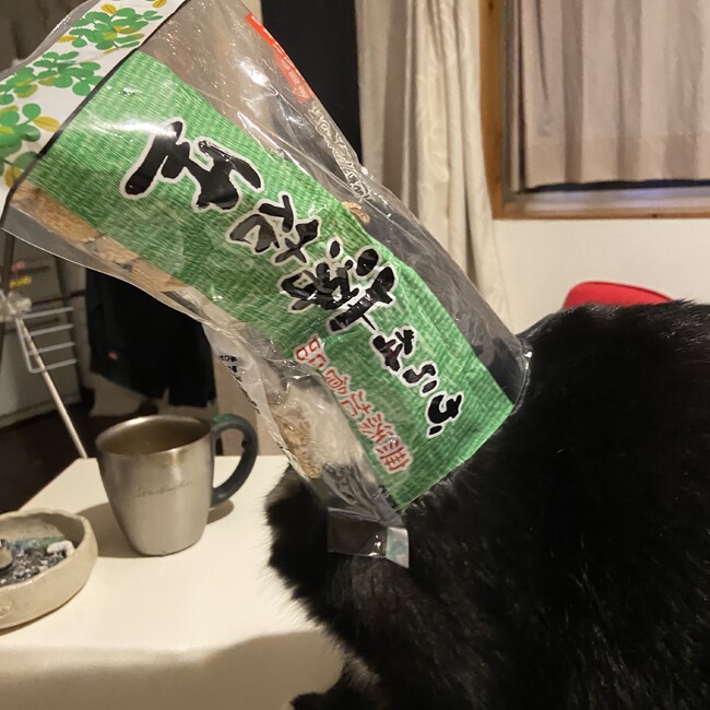 ぷるんちょのカバー写真