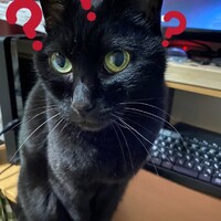 たまひめ