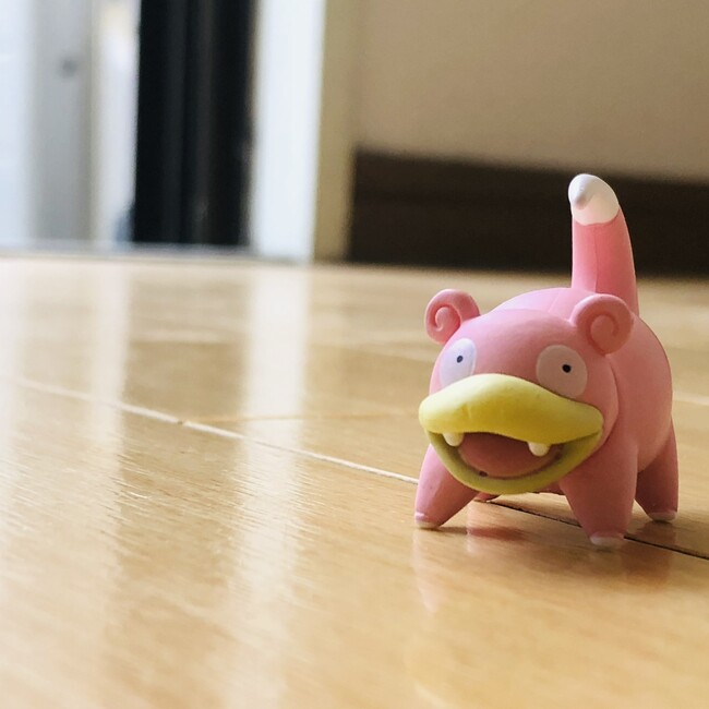 きしおのカバー写真