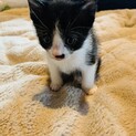 可愛い赤ちゃんが産まれました