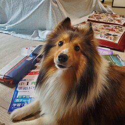 発揮しましょう