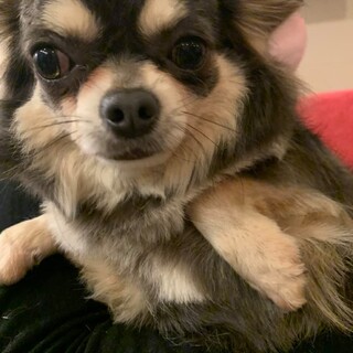 保護っこ♪あっち♪里親絶賛募集中！