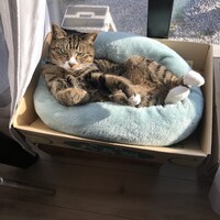 まる