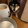ごぬ