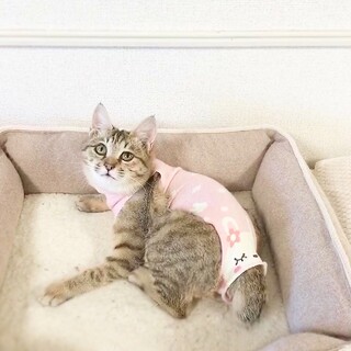 【良縁感謝♪】♡丸ぽちゃ系お姫様♡