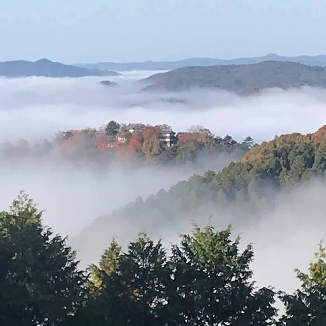 ねこクラブCHIGURAのカバー写真