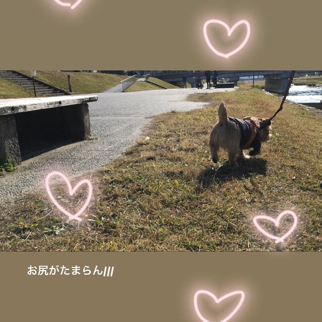 いのちのバトンのカバー写真