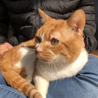 甘えん坊男の子♡2月中です