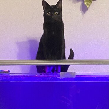 の写真