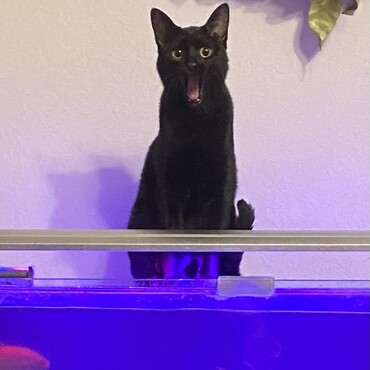 の写真