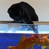 の写真