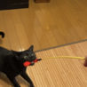 の写真