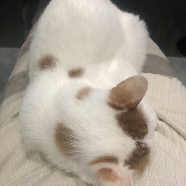 珍しくこっちを向いて甘えん坊♪