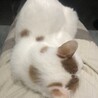 珍しくこっちを向いて甘えん坊♪