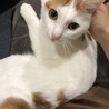 上目遣い( ´∀｀)