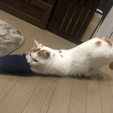 スリッパ大好き♪