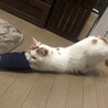 スリッパ大好き♪