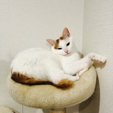 セクシーショット☆