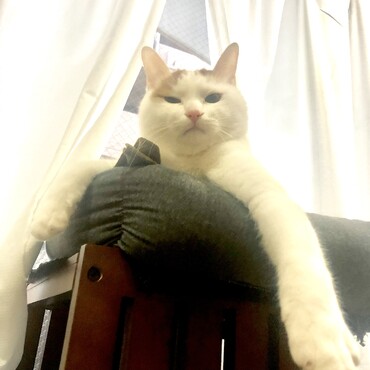 貫禄ありすぎ。笑