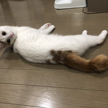 何か？