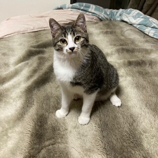 #美少年隊 いちまる