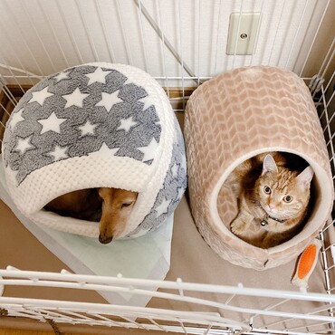 ベッドの使い方逆〜