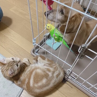 オールスターズ☆貴重な3ショット