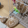 オールスターズ☆貴重な3ショット