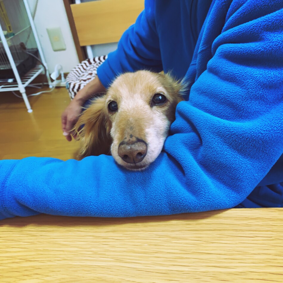 ナッツのカバー写真