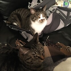 相変わらず元気です！！