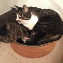 「相変わらず元気です！！」サムネイル2